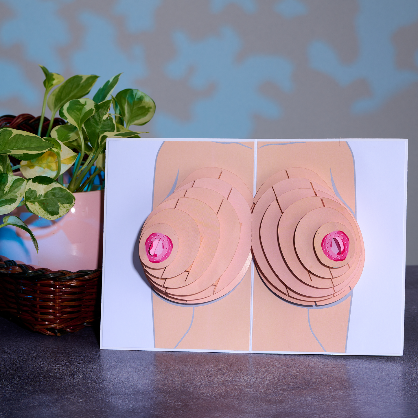 Naughty Knockers