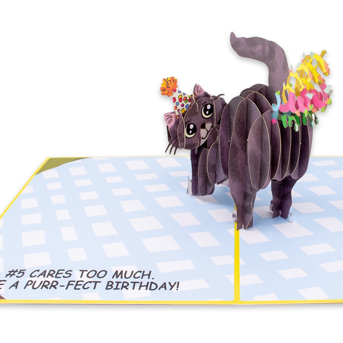 Purrfect Birthday