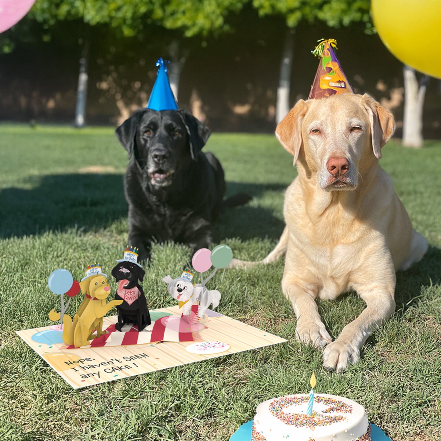 Birthday Barkers