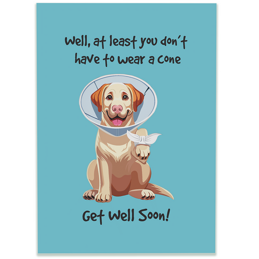 Cone of Shame