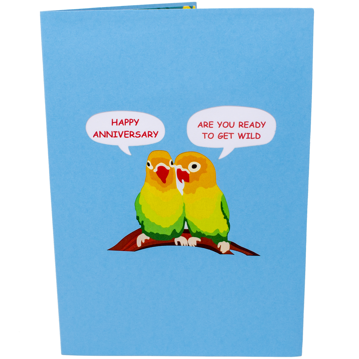 Love Birds
