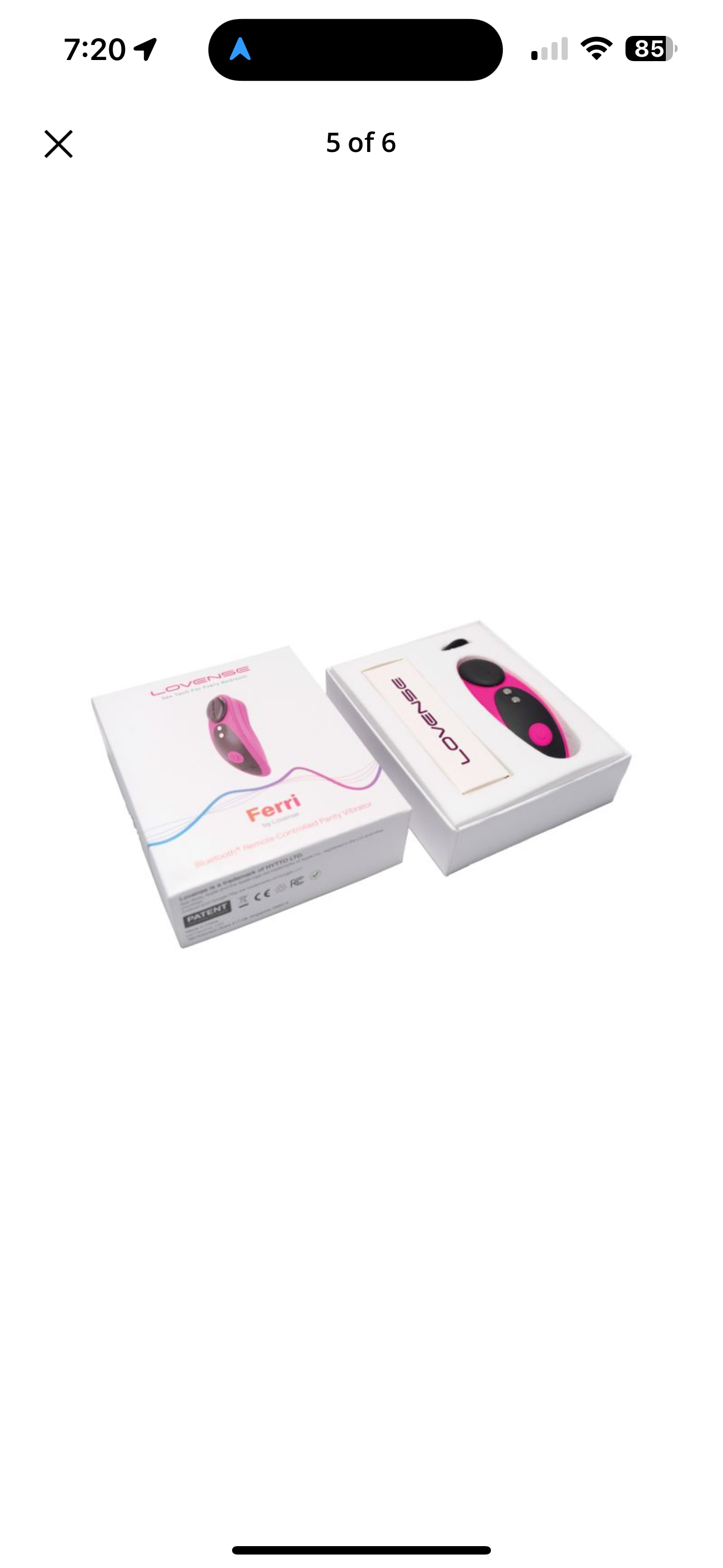 Lovense Ferri Panty Vibe - Pink