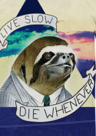 Hard Life Of A Sloth T-Shirt