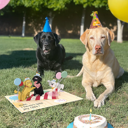 Birthday Barkers