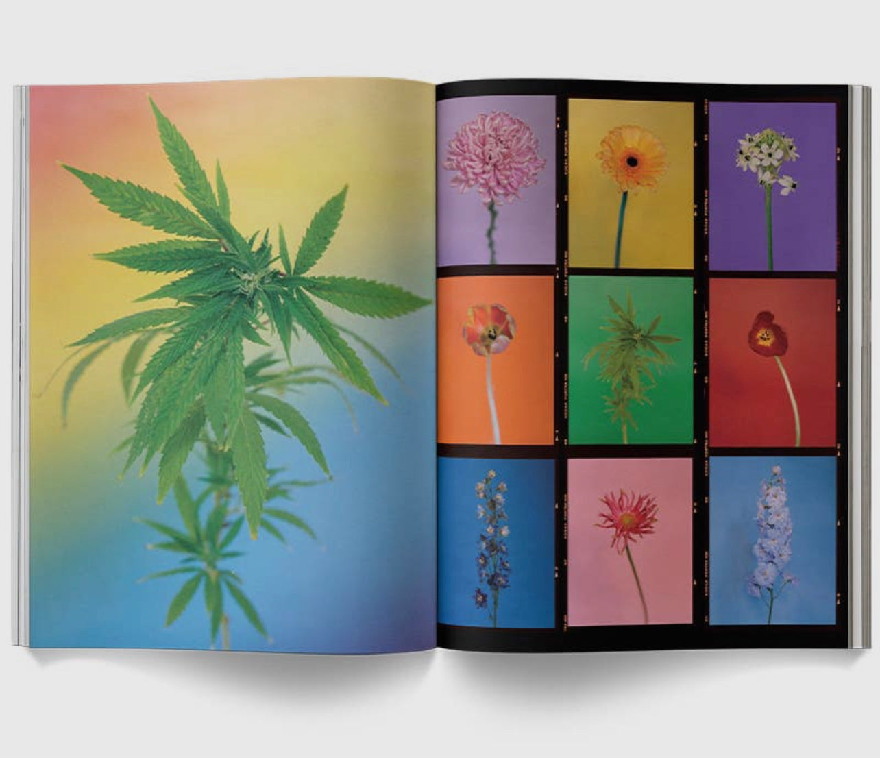 A Weed is a Flower Book by Broccoli - Smoke N’ Poke