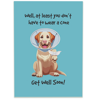 Cone of Shame