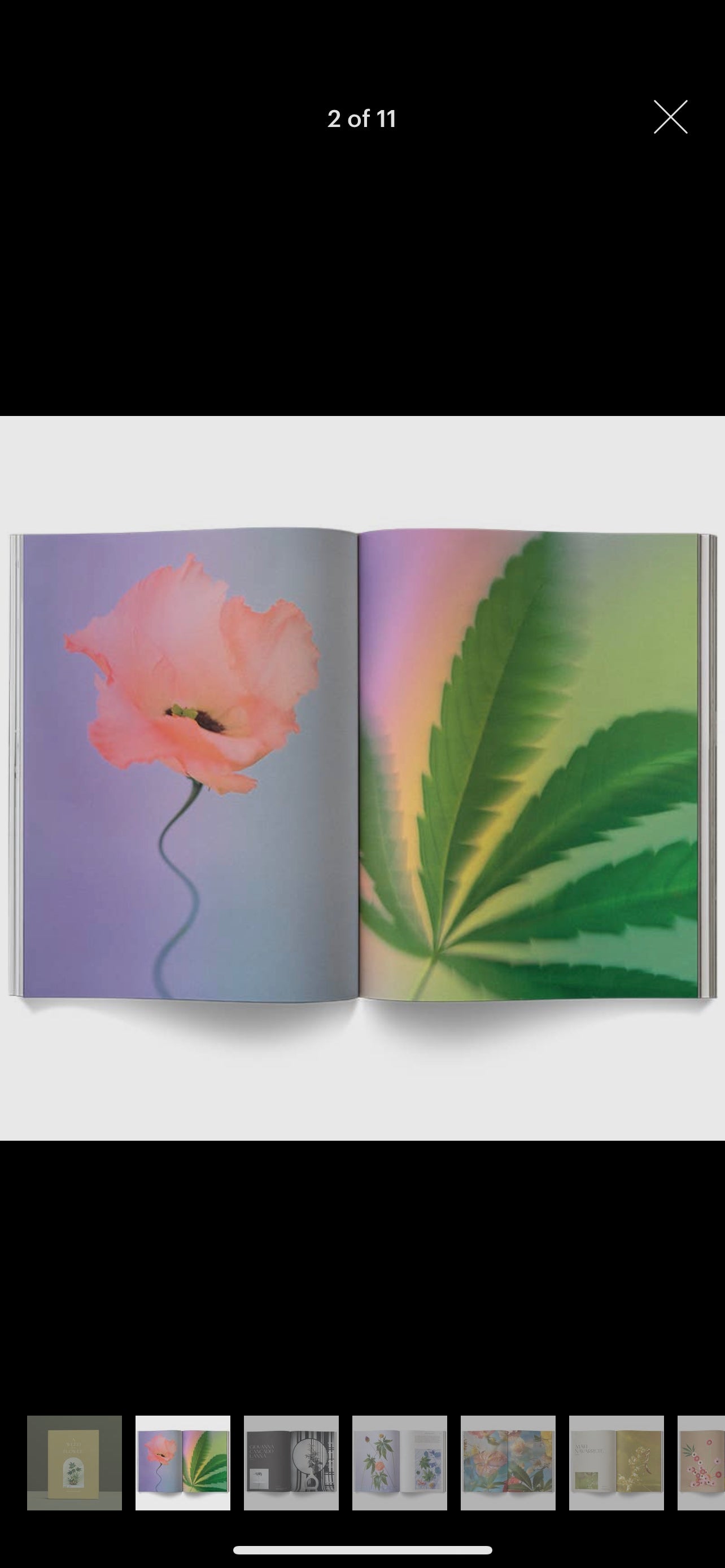 A Weed is a Flower Book by Broccoli - Smoke N’ Poke