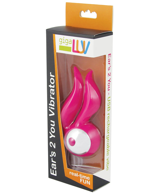 GIGA04004-PK