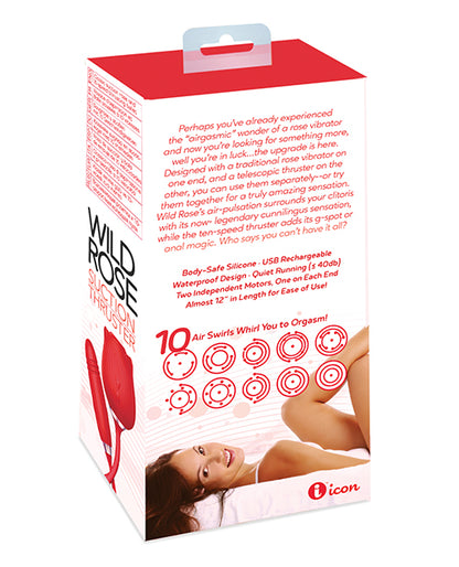IBIC1702