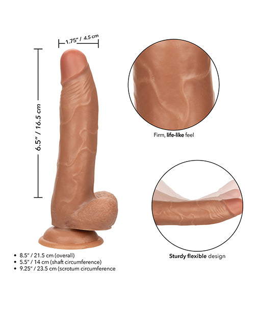 SE0273-06