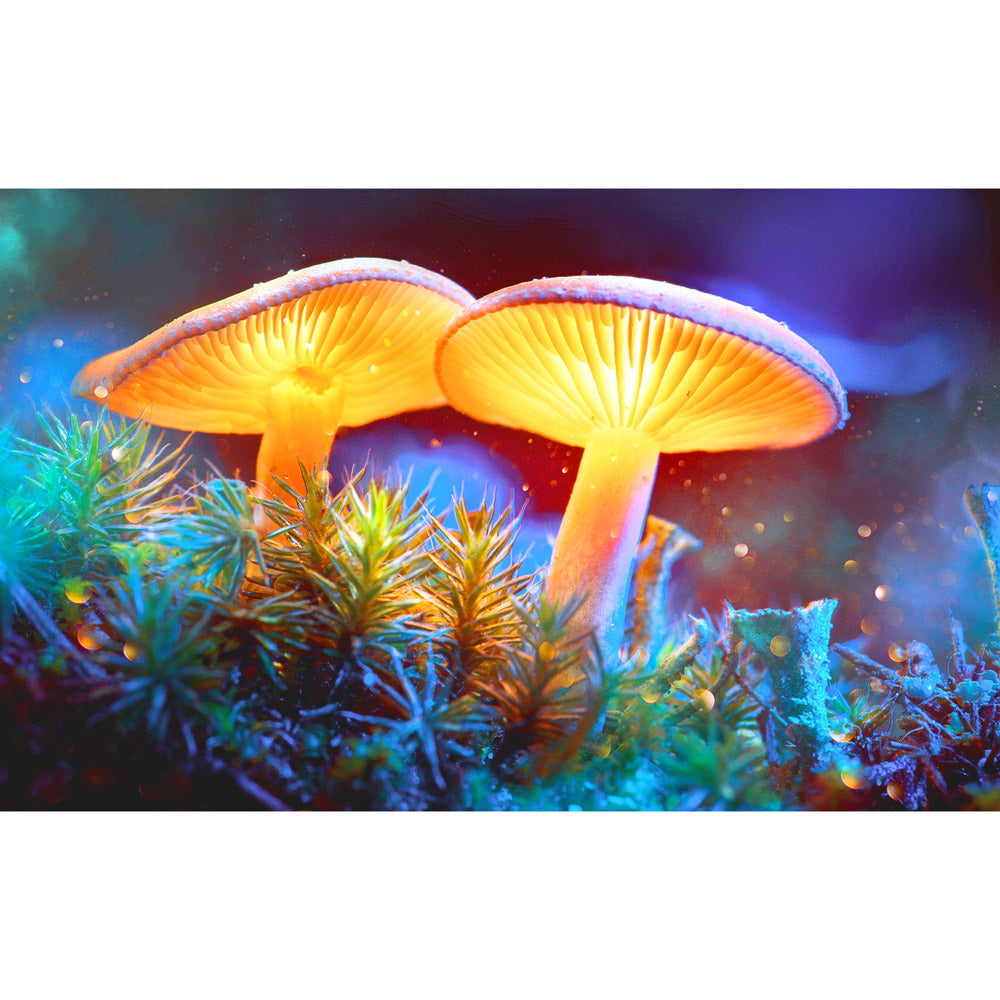 Pulsar Mystical Mushrooms Tapestry - Smoke N’ Poke