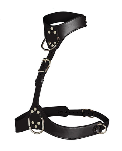 XRAH656-BLACK