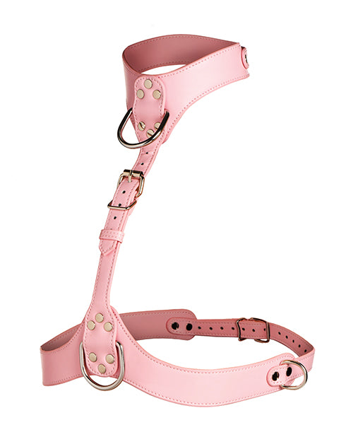 XRAH656-PINK