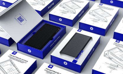 The Battpak by OCTAVE - Power Bank and Travel Safe