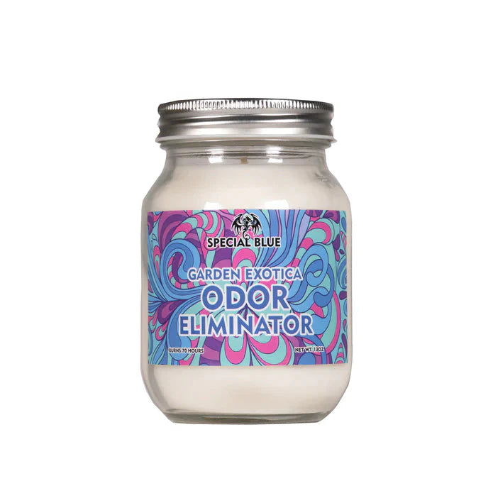 Special Blue Odor Eliminator Candle - Various Scents - ( Various Counts)